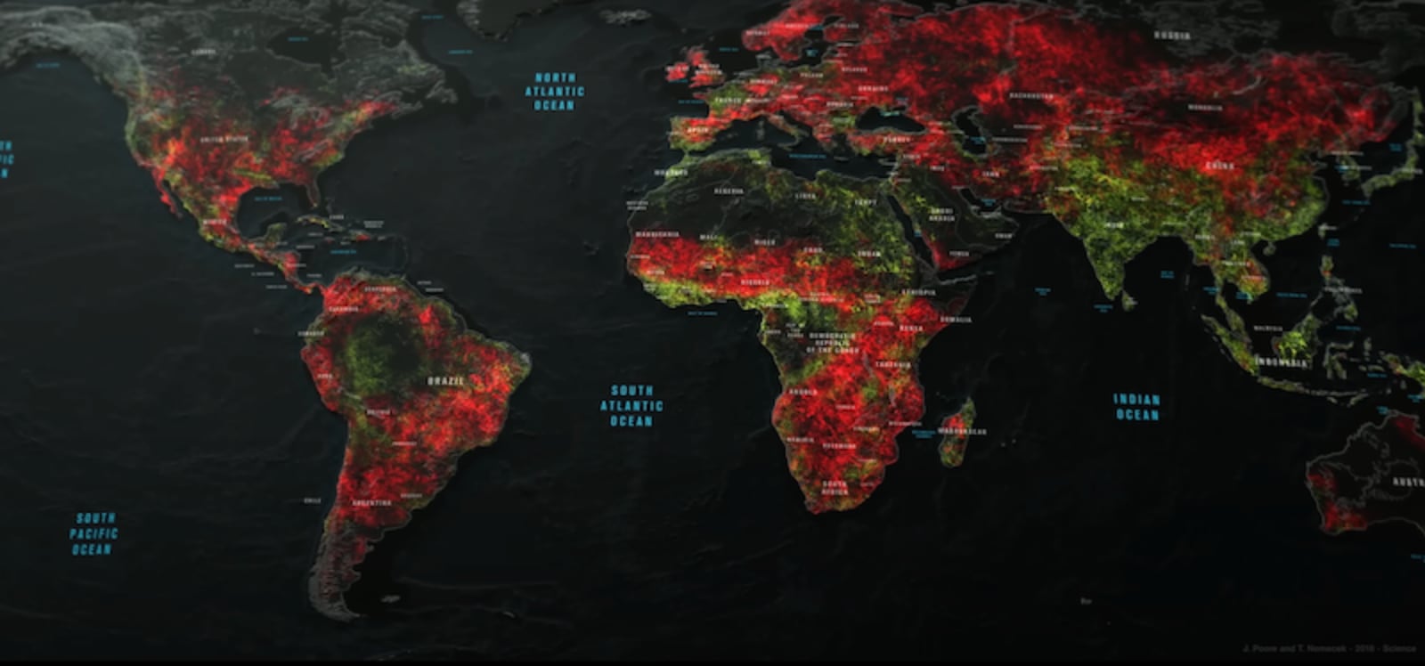 crop growing by purpose