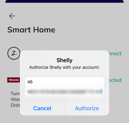 Shelly step 4